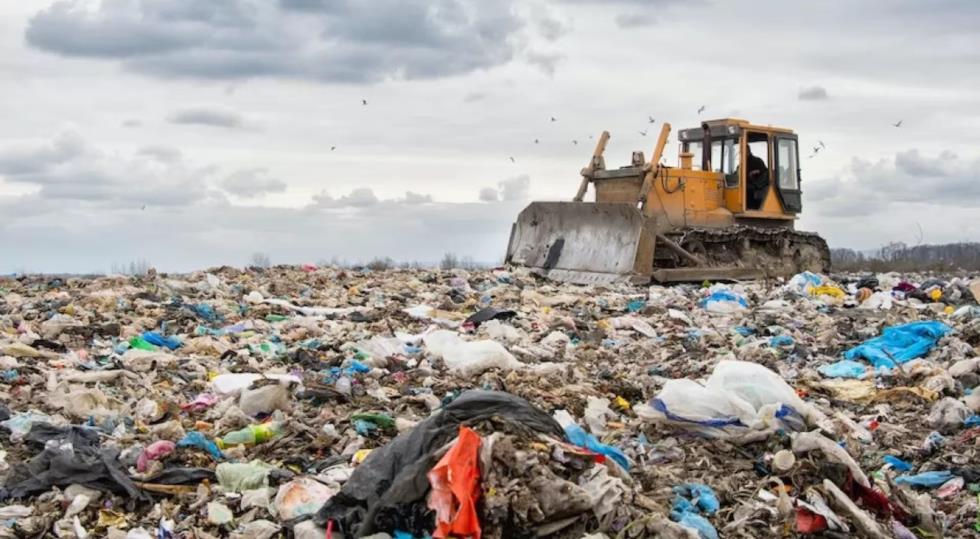 5408557479800192 image