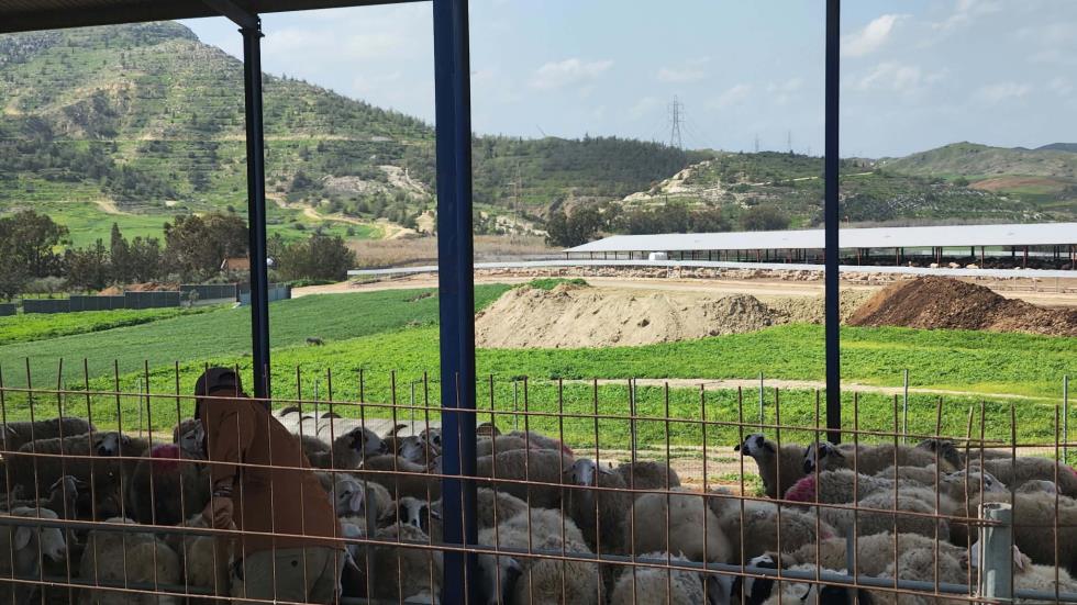 5409059753219643 image