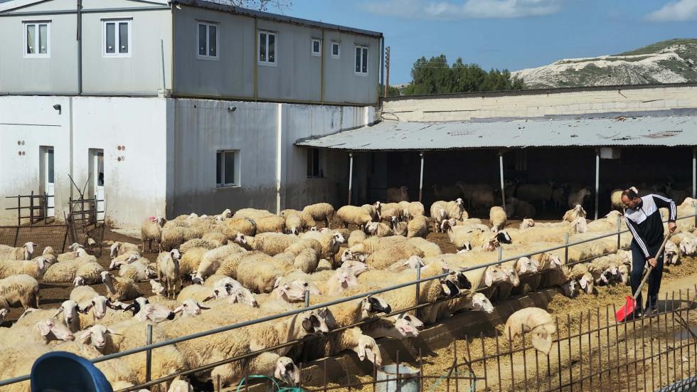 5409059843375140 image