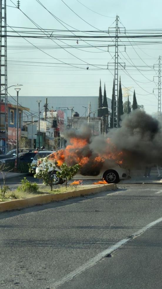 5410298291317724 image