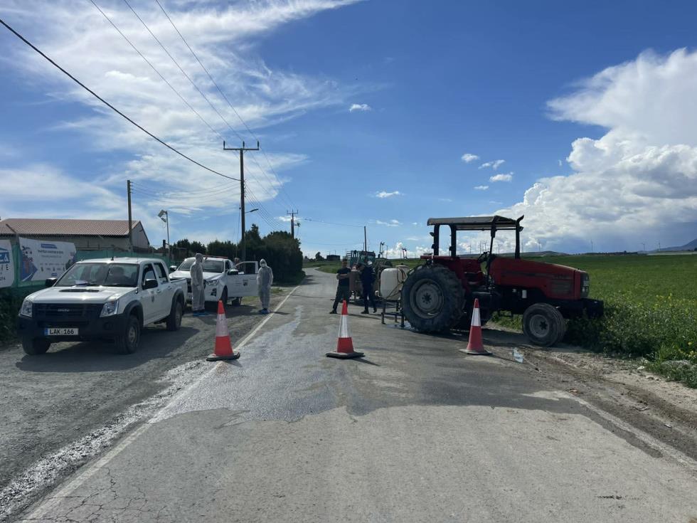 5410962174201691 image