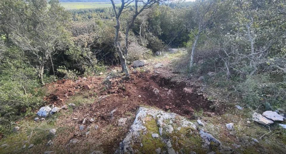 5411119214227636 image