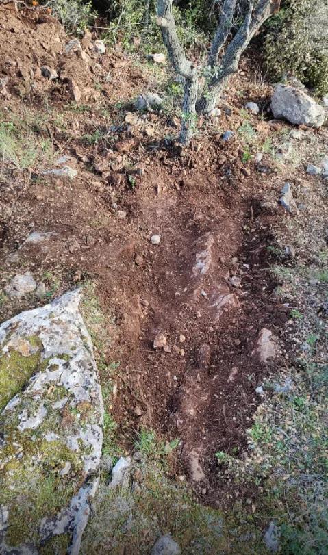 5411119484537653 image