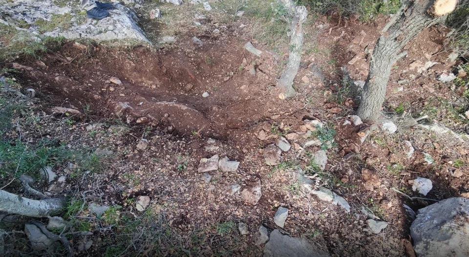 5411119702223952 image