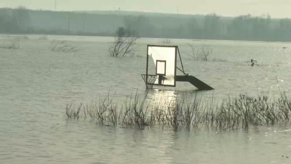 5412398460099903 image