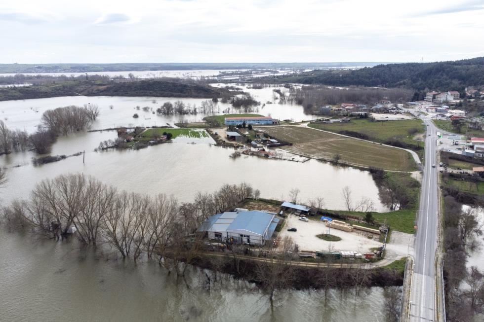 5412398566974024 image