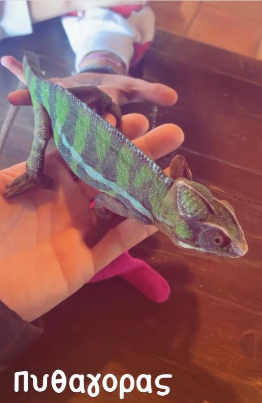 5413255036055859 image