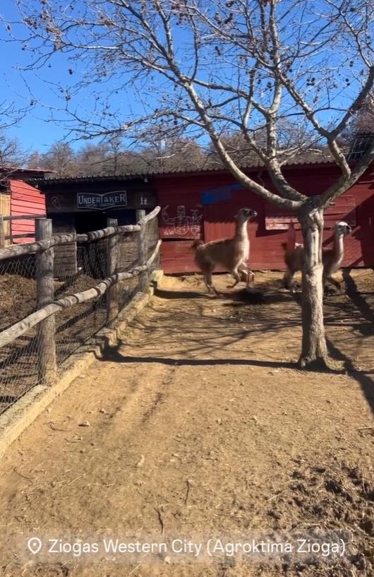 5413255254904061 image