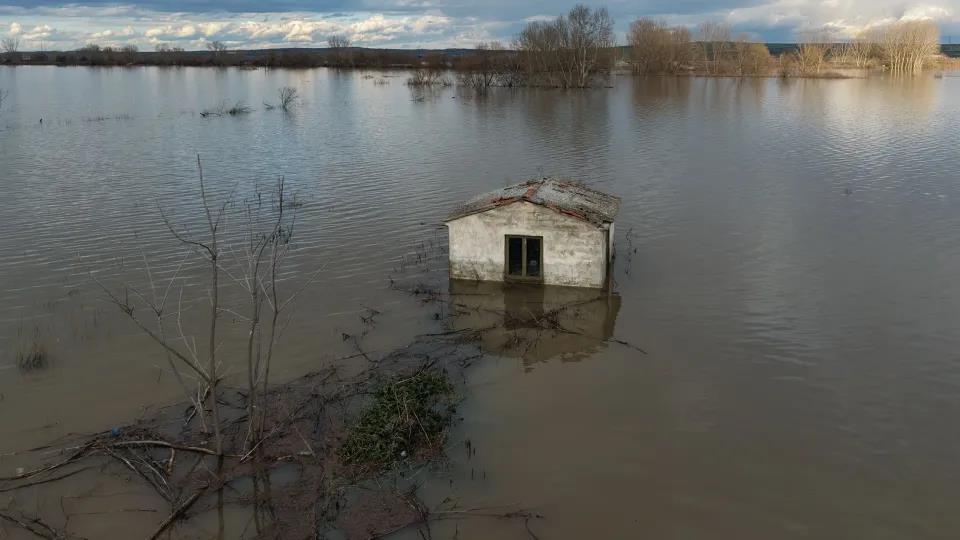 5413362142042673 image