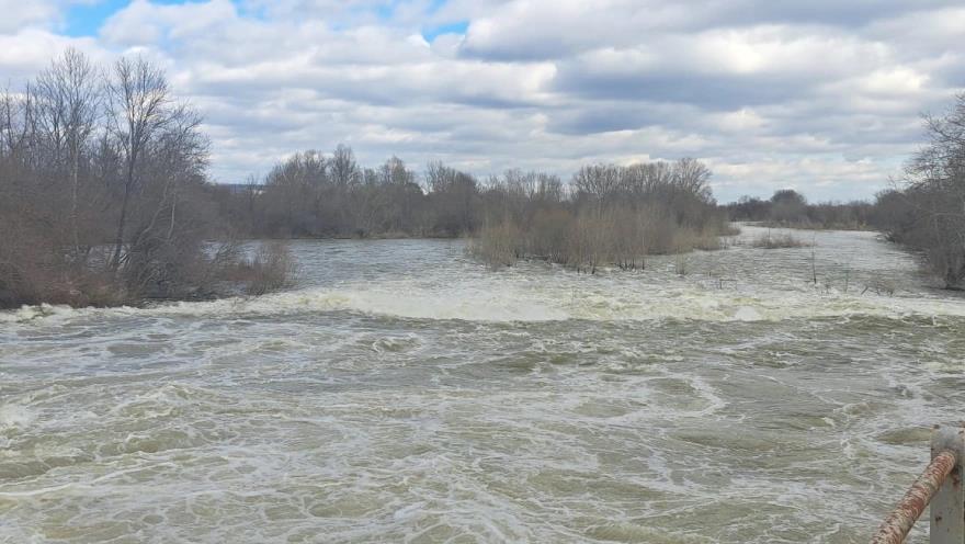 5413625167829852 image