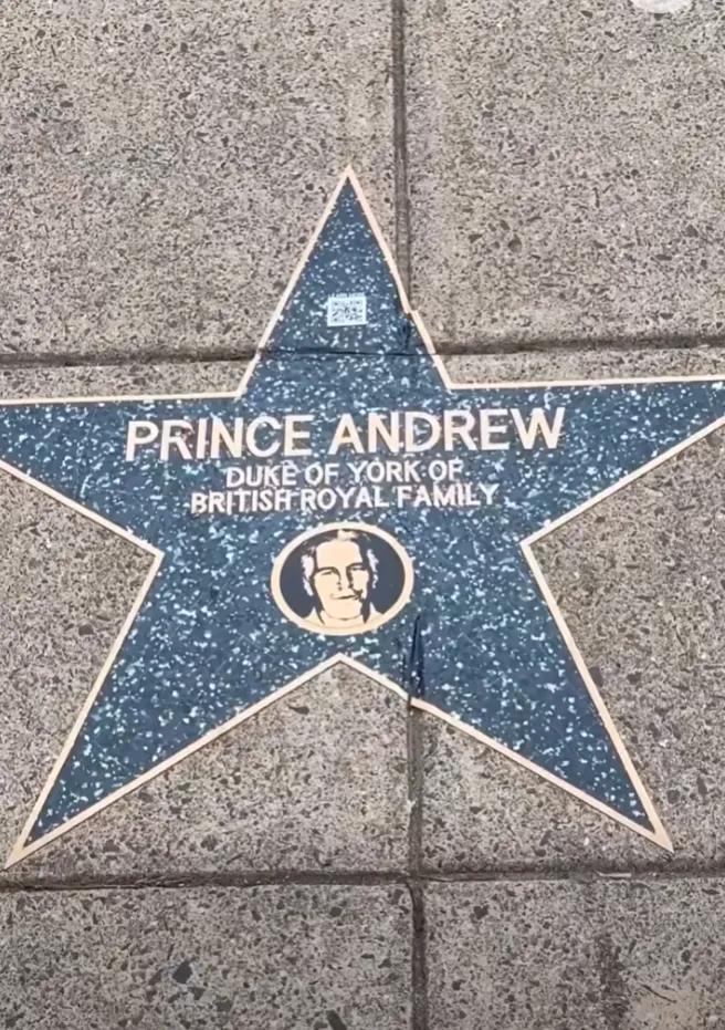 5417795355474946 image