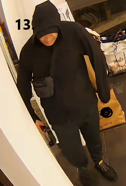 5419382436672545 image