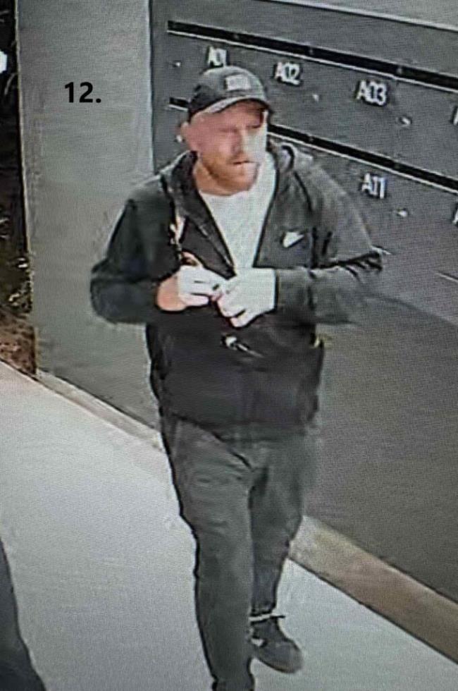 5419382625790281 image