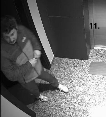 5419382684866165 image