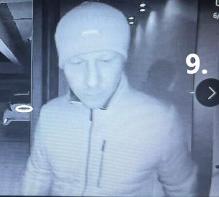 5419382784006267 image