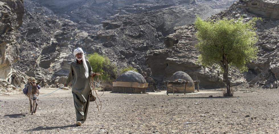 5420230028868051 image