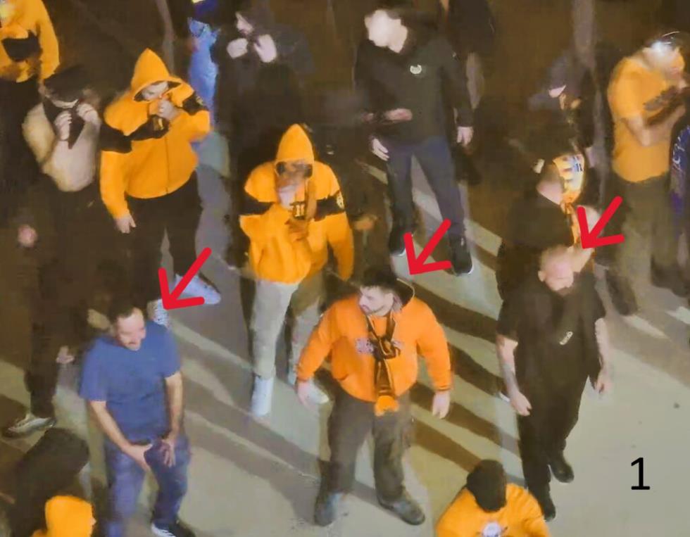 5420482930865760 image