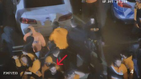 5420483059927153 image