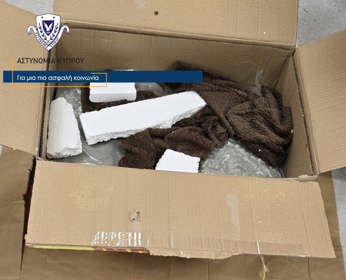 5421281559629716 image