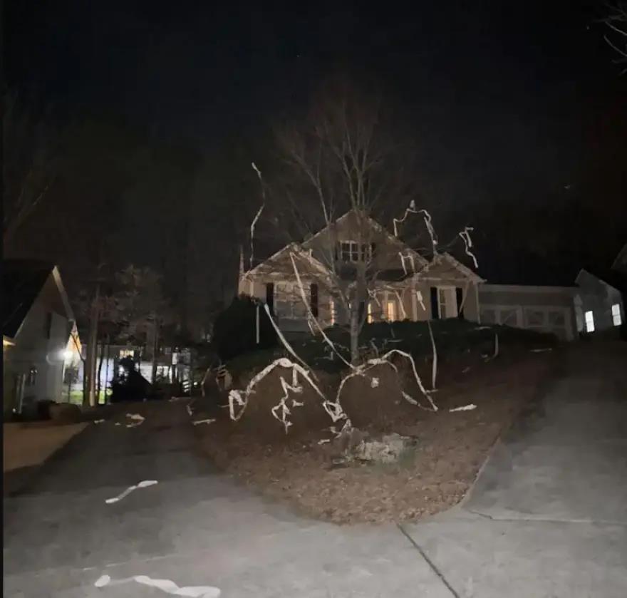 5422766276464254 image