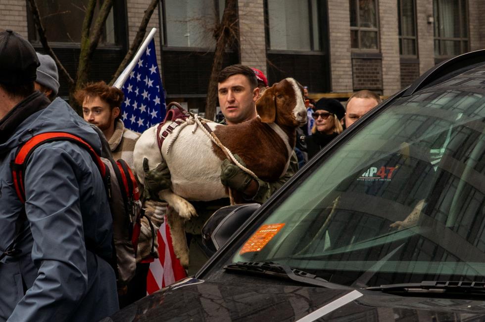 5422798607747233 image