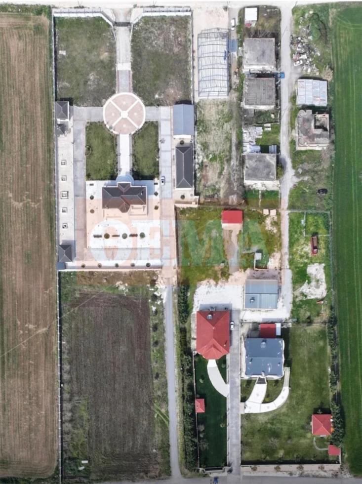 5423726745144492 image