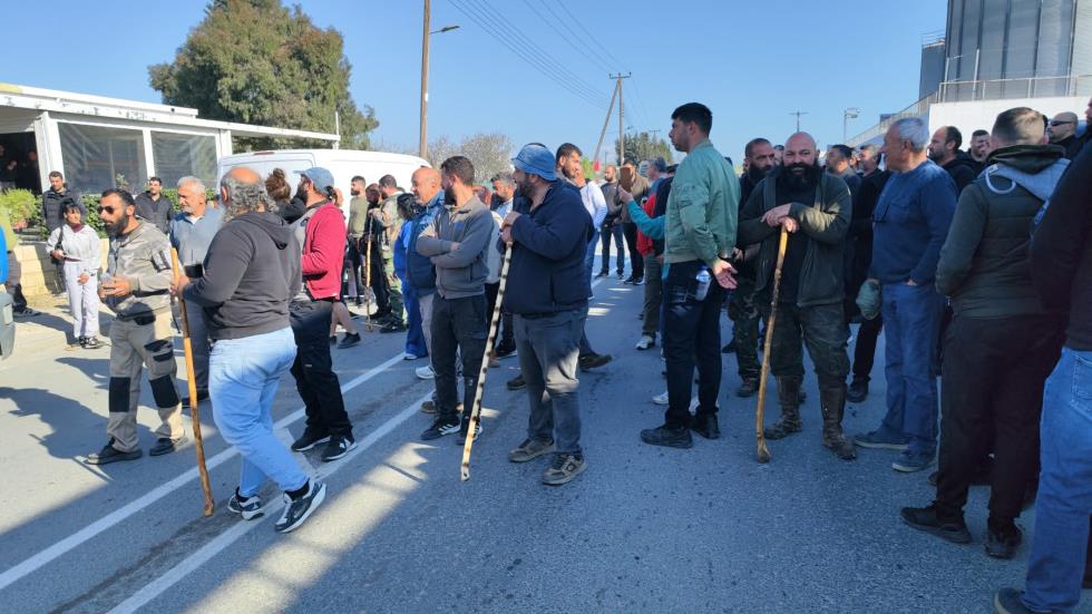 5424506652635602 image