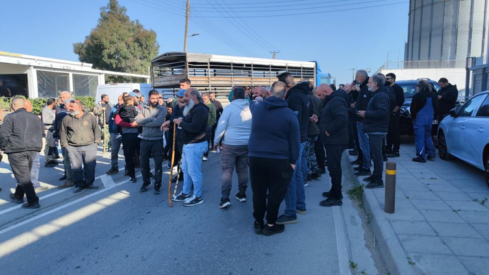 5424506968460968 image