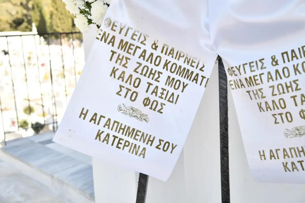 5426362879710617 image