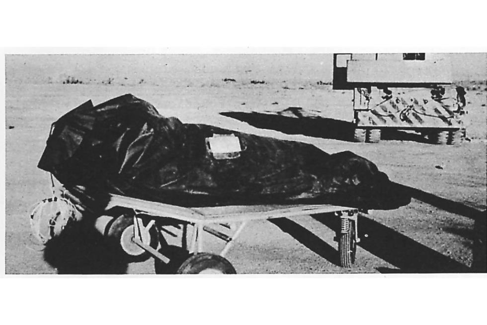 5426446878969999 image