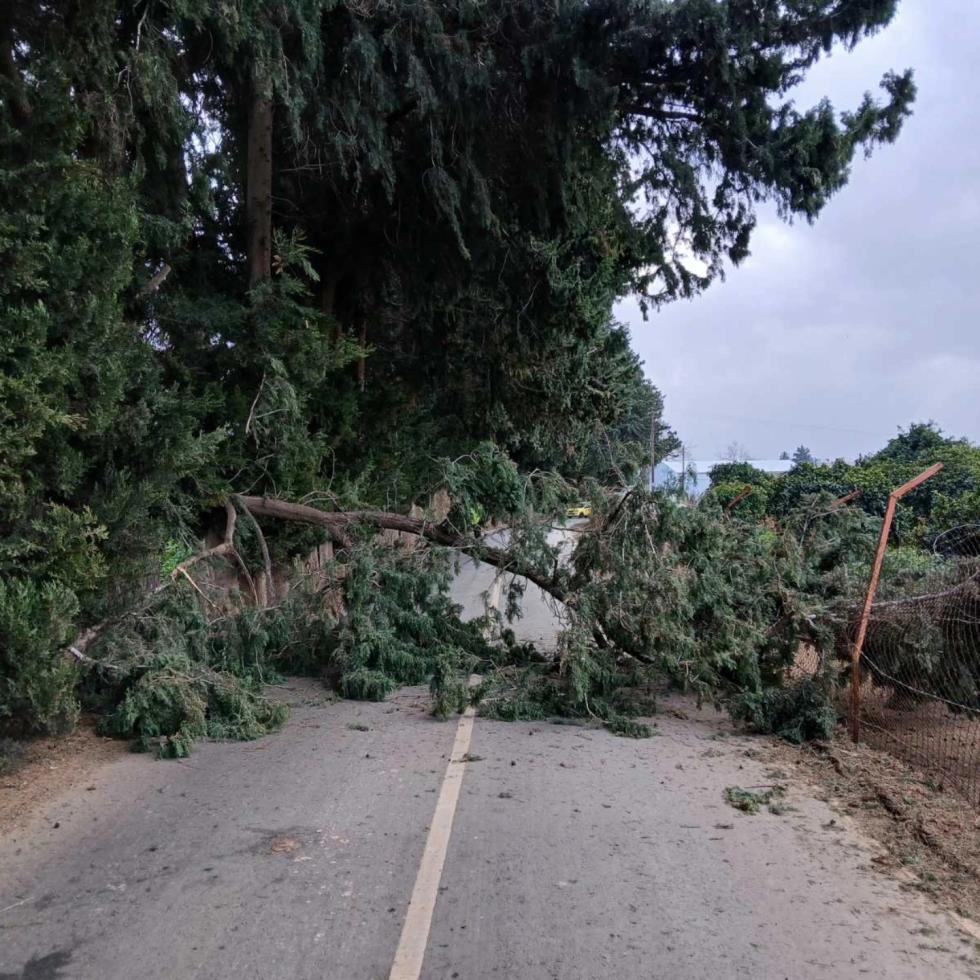 5427433871779834 image