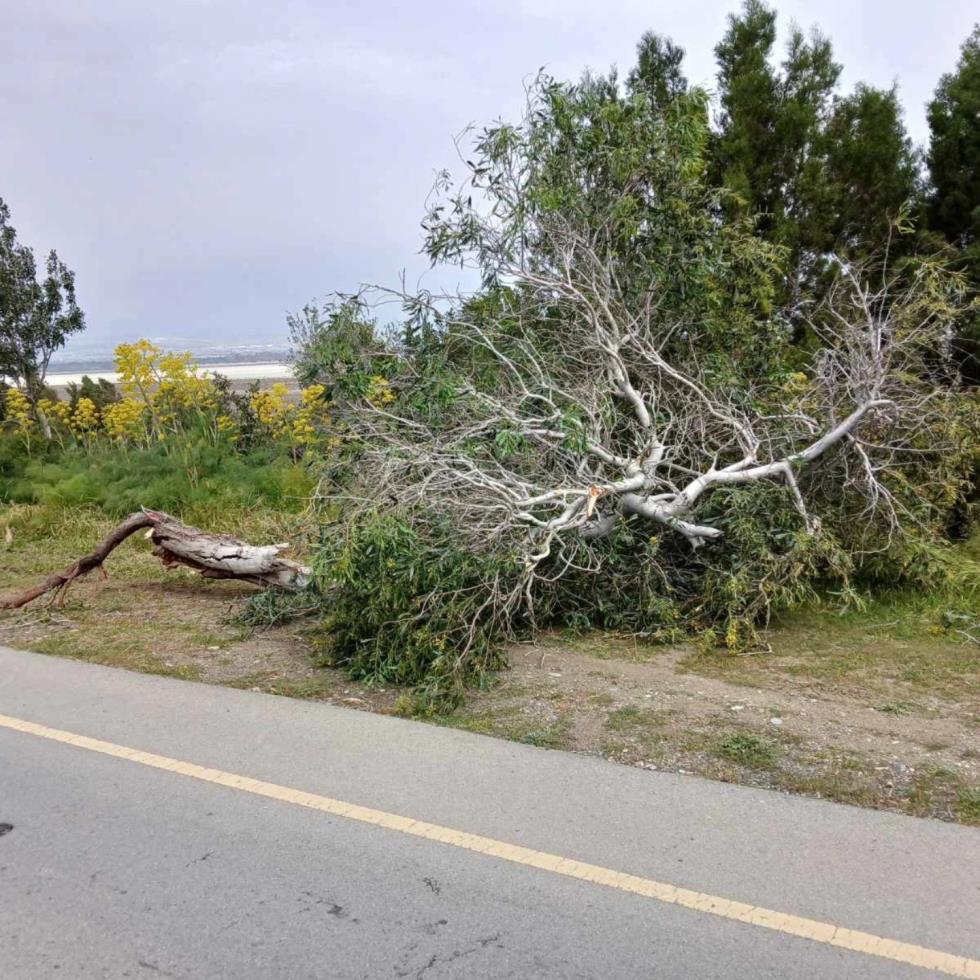 5427433728187562 image