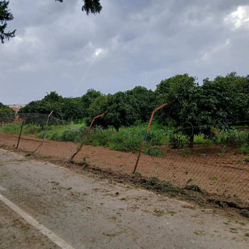 5427433931467547 image