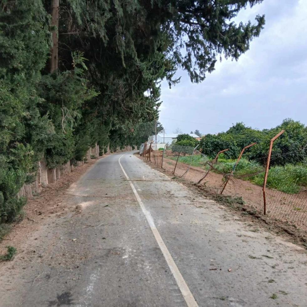 5427433999436017 image