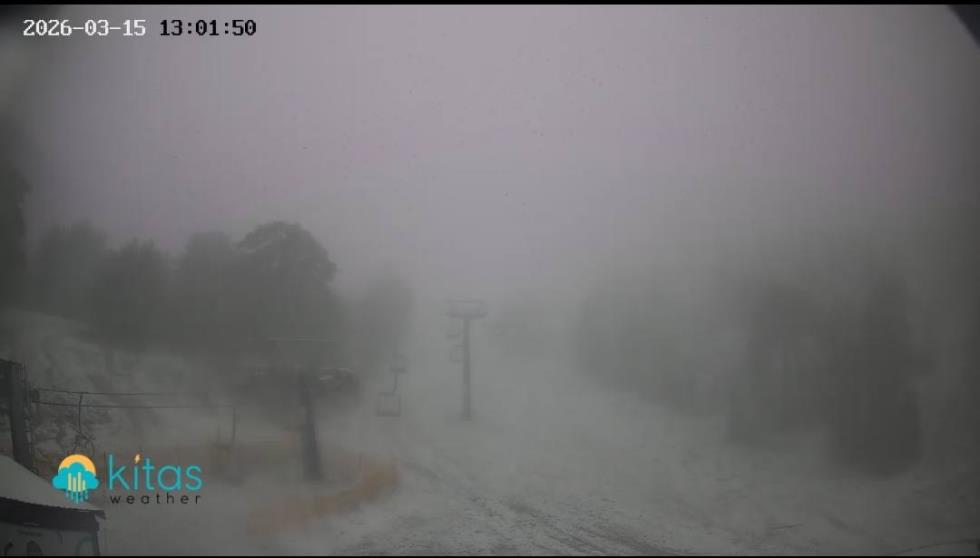 5428224888439955 image