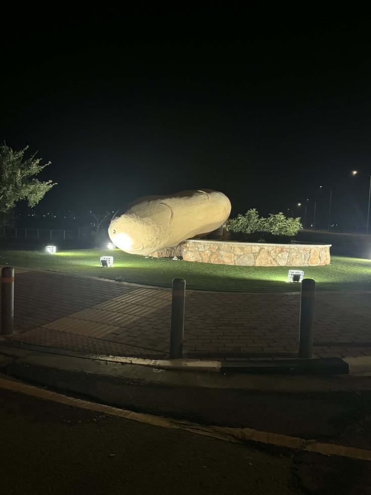 5428398070411130 image