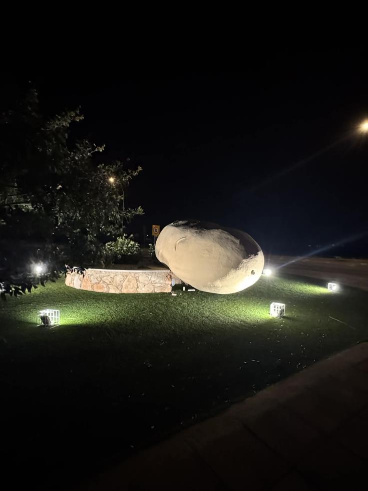 5428398125566603 image