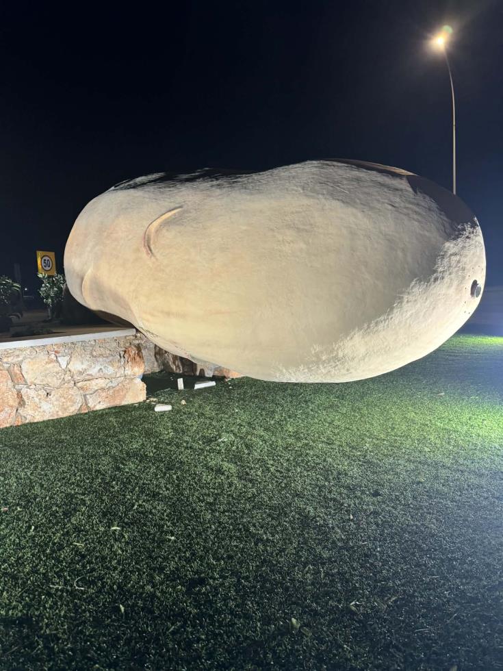 5428398165723031 image