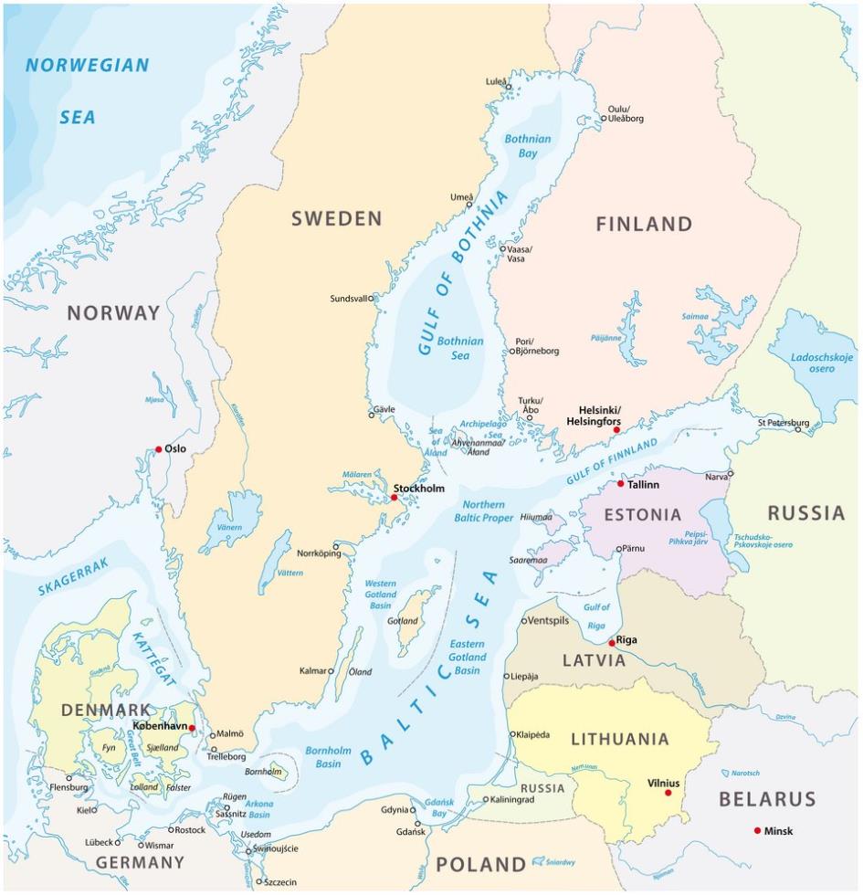 5430107207684885 image