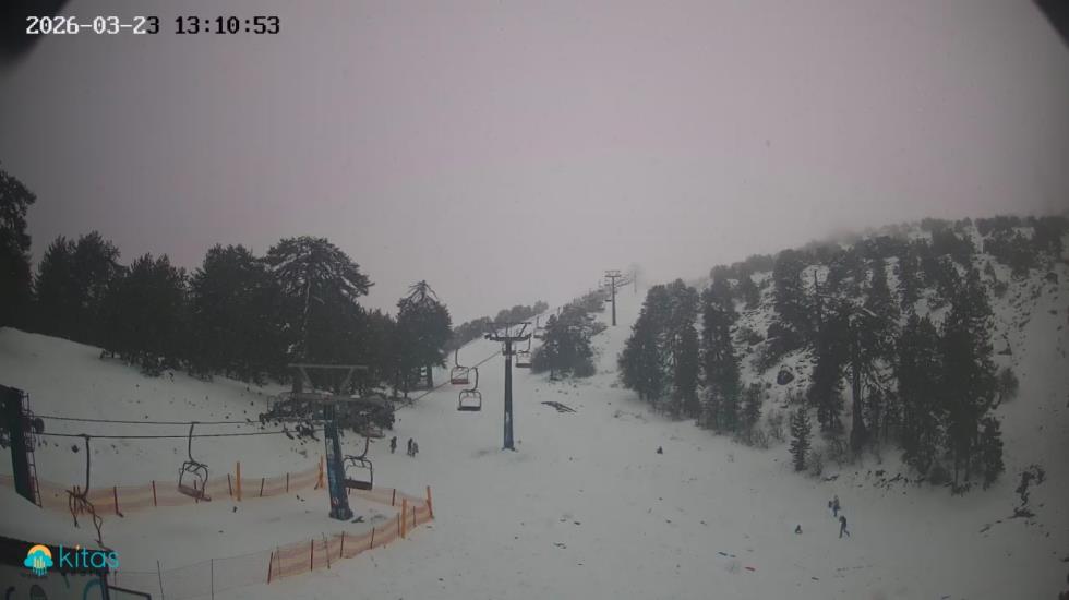 5435107107005372 image