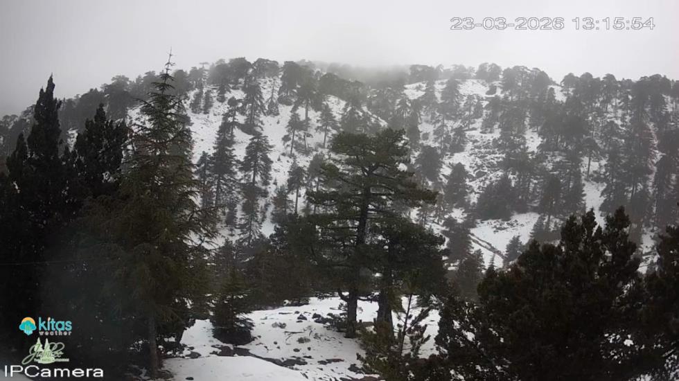 5435107176867099 image