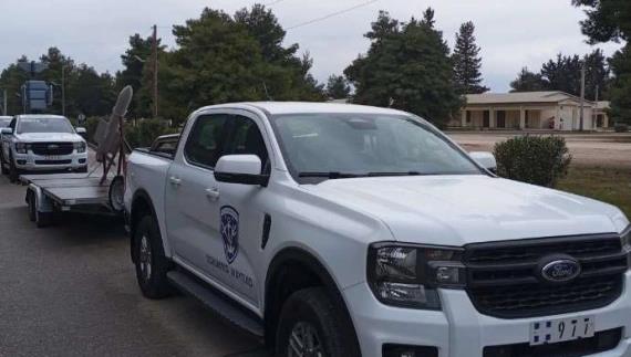 5436786566520994 image