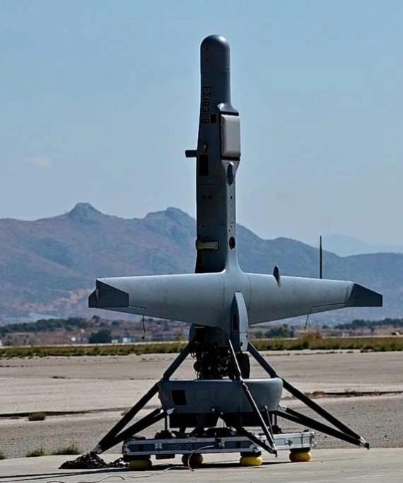 5436787665812546 image