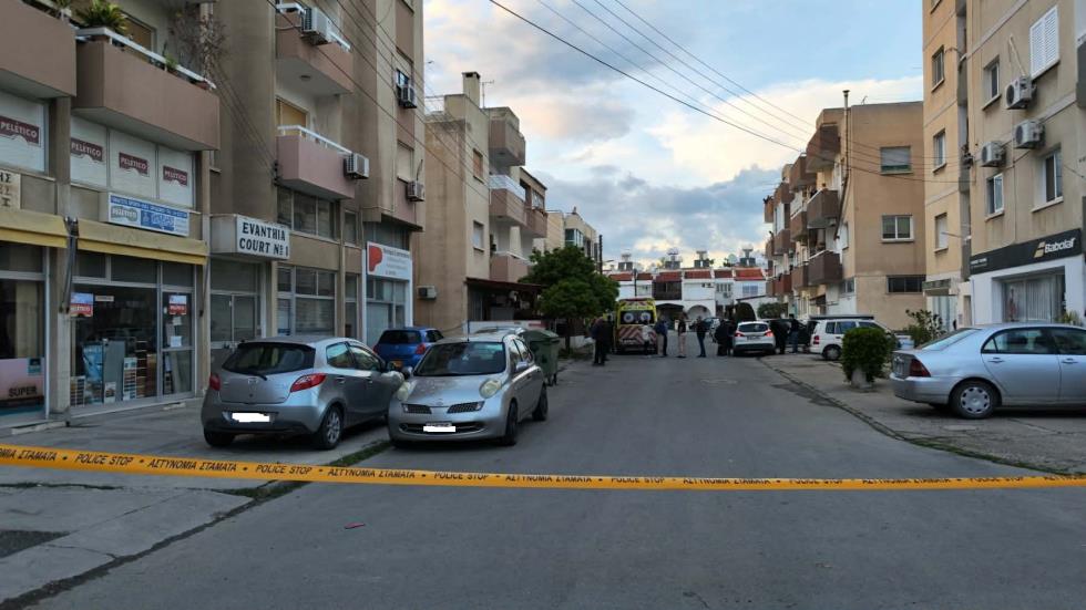 5436940169869974 cats