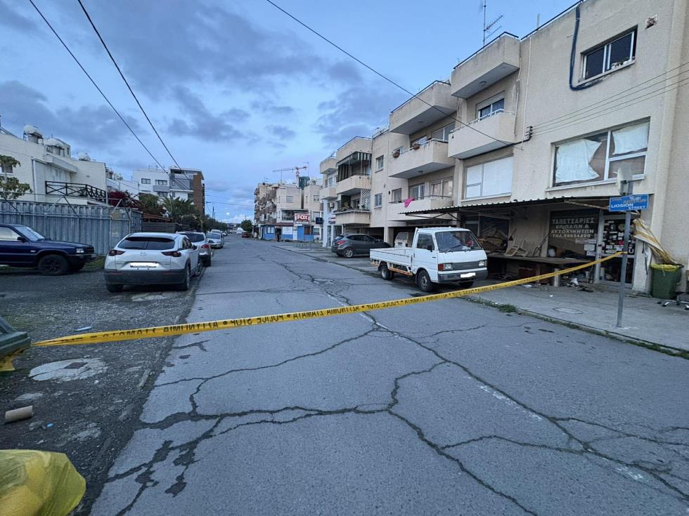 5436946053674261 cats