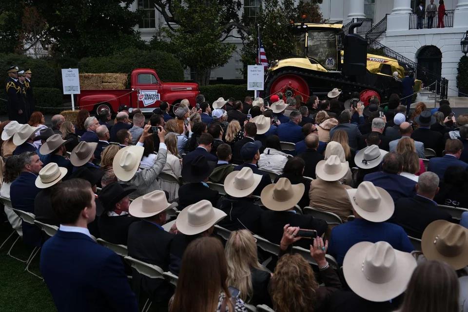 5439308786358585 image