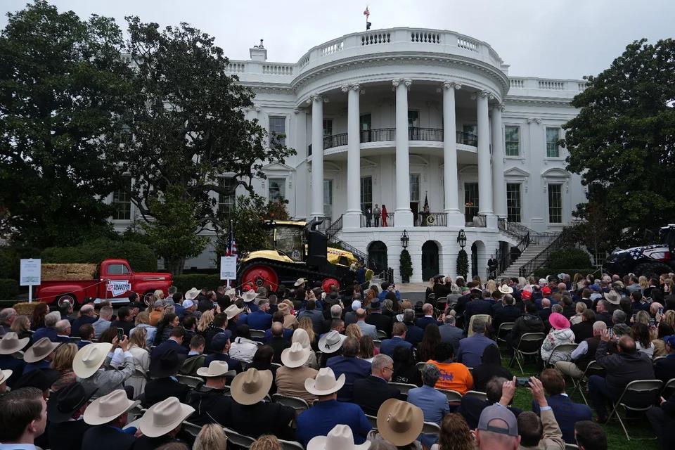 5439309057783103 image