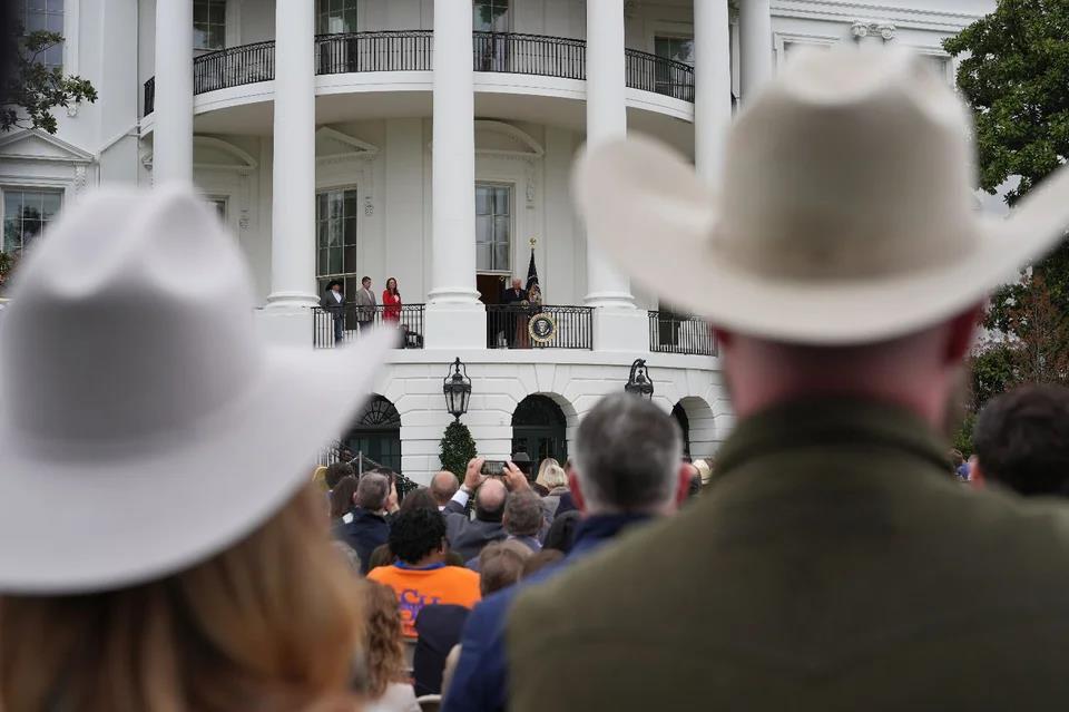 5439309100263736 image