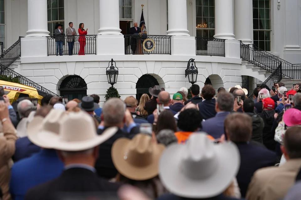 5439309149057740 image