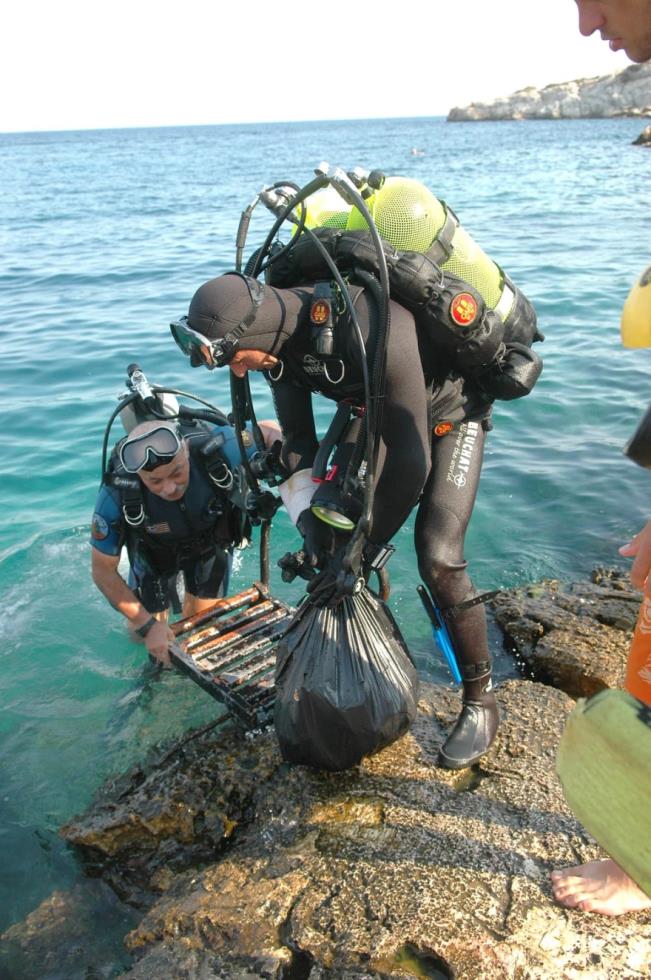 5439357829236115 image